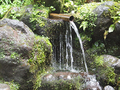 杜々の森湧き水